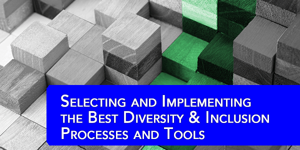 Selecting and Implementing the Best D&I Processes and Tools